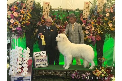 カノンちゃん1枚目