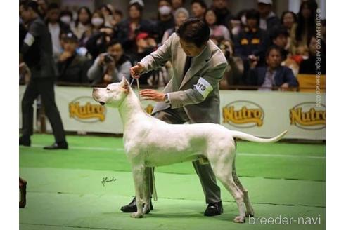 成約済の東京都のドゴアルヘンティーノ-206529の3枚目