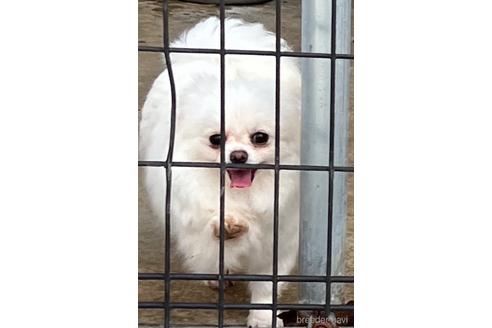 ちゃん1枚目