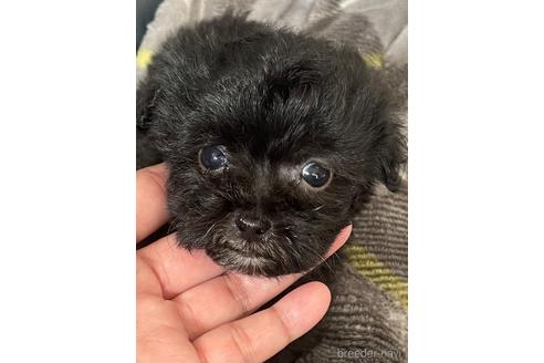 7dgcwc7urabtwm 7dgcwc7urabtwm