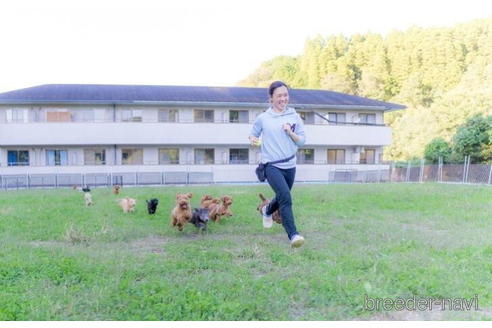 成約済の千葉県のカニンヘンダックスフンド(ロングヘアード)-208852の2枚目