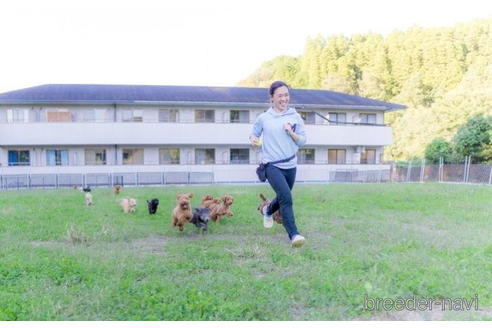 成約済の千葉県のカニンヘンダックスフンド(ロングヘアード)-208877の2枚目