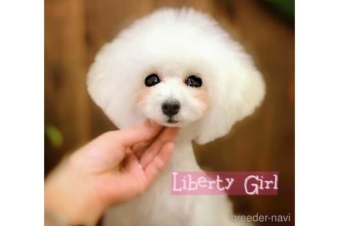 Libertyちゃん1枚目