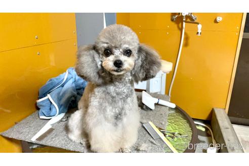 創生くん1枚目