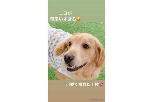 ニコルちゃん1枚目