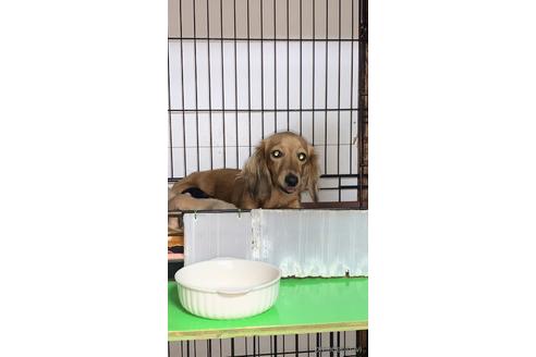 マミーちゃん1枚目