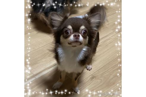 陸(りく)くん1枚目