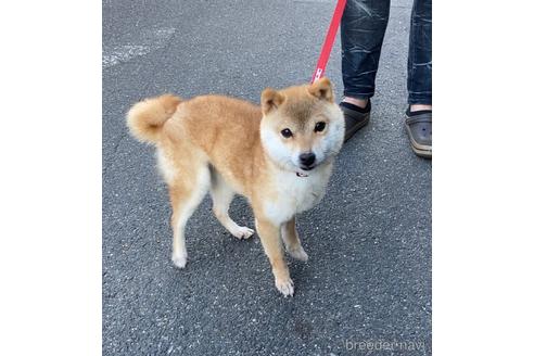 ちゃん1枚目