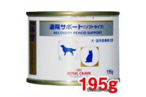 成約済の秋田県のミックス犬-204109の3枚目