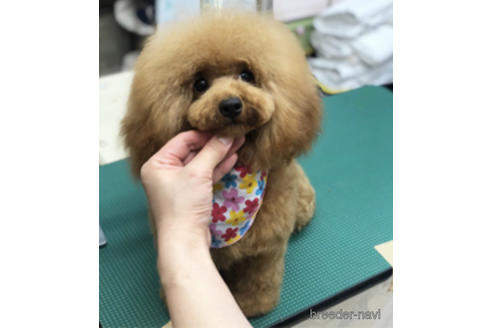 ちるちゃん1枚目