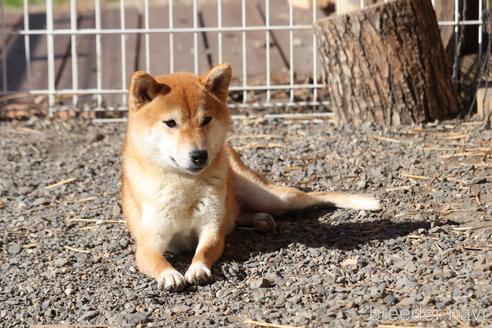 ちゃん1枚目