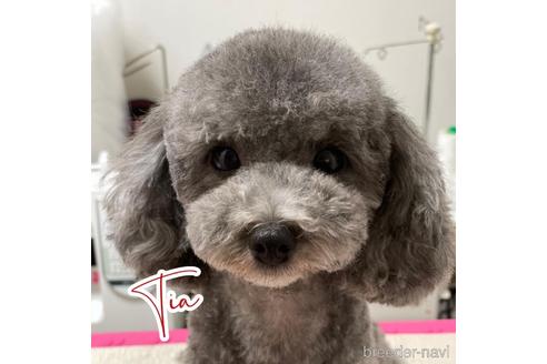ティアちゃん1枚目