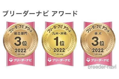 成約済の鹿児島県のフラットコーテッドレトリーバー-223681の2枚目