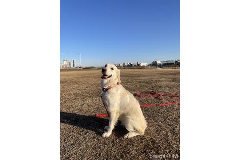 空ちゃん1枚目