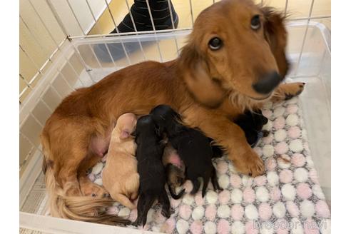 おかきちゃん1枚目