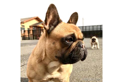 コロンちゃん1枚目