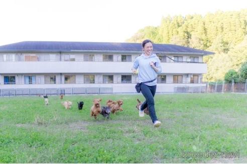 成約済の千葉県のミックス犬-232080の5枚目