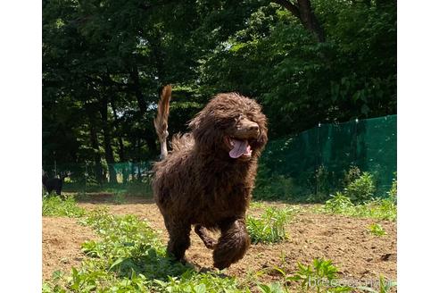 ウイコちゃん1枚目