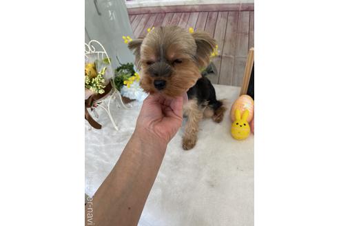 クレアちゃん1枚目
