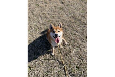 花紅弥（かぐや）ちゃん1枚目