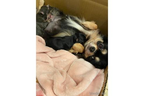 ちゃん1枚目