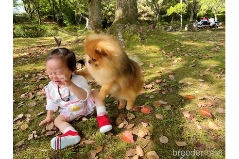 花生くん1枚目