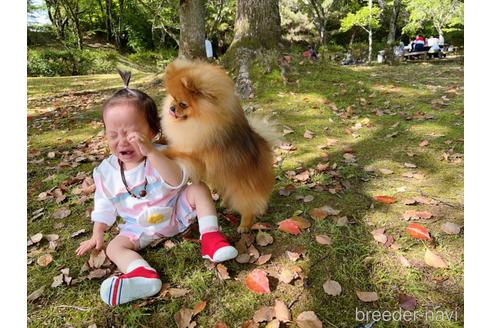 花生くん1枚目