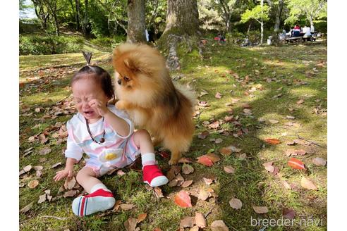 花生くん1枚目