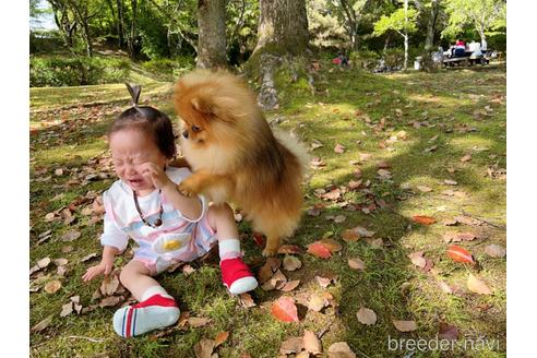 花生くん1枚目