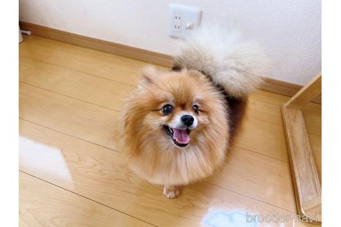 いちごちゃん1枚目