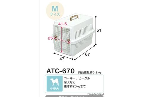 成約済の秋田県の柴犬-235011の2枚目