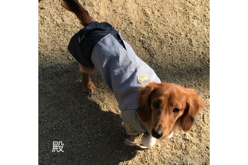 殿くん1枚目