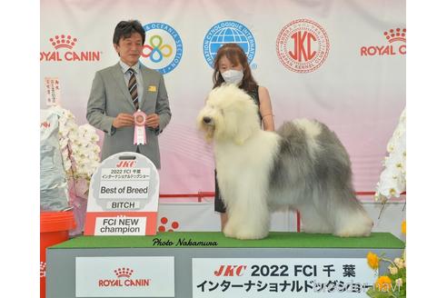 SARANGちゃん1枚目