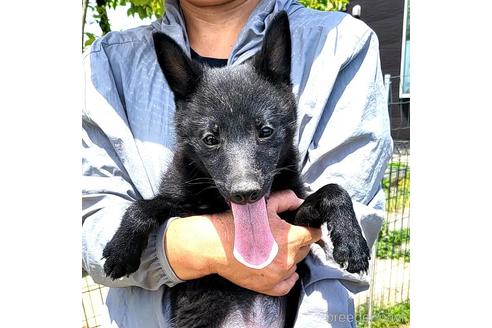 成約済の茨城県のスキッパーキ-235885の7枚目