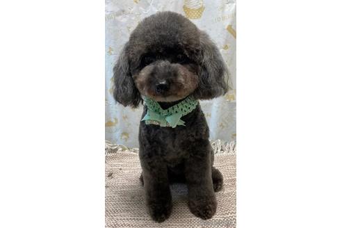 ジジちゃん1枚目