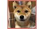 オンライン見学