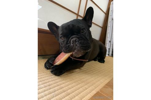 こんぶちゃん1枚目