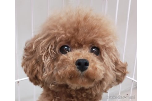ちゃん1枚目