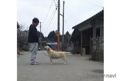 ちゃん1枚目