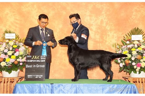 ポーラちゃん1枚目