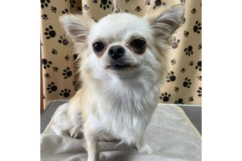 ちゃん1枚目