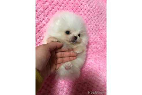カミュくん1枚目