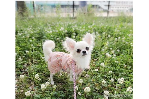 ちゃん1枚目
