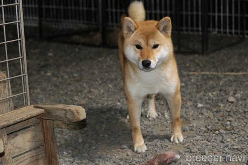 ちゃん1枚目