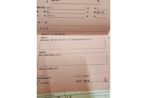 販売中の愛知県のミックス犬-254962の11枚目