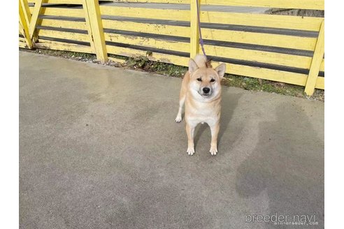 葵胡ちゃん1枚目