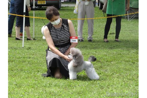 こう平くん1枚目