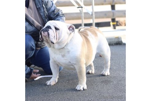 シンバくん1枚目