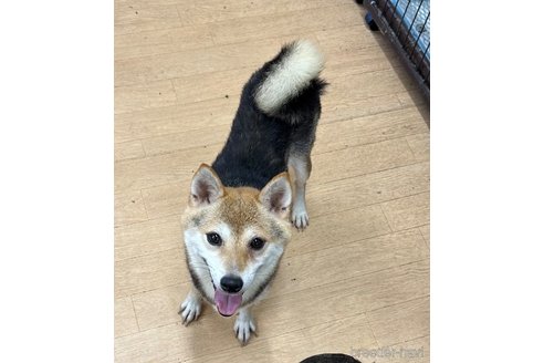 ちゃん1枚目