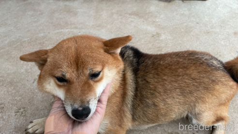 ちゃん1枚目